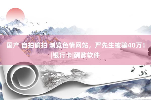 国产 自拍偷拍 浏览色情网站，严先生被骗40万！|银行卡|酬酢软件