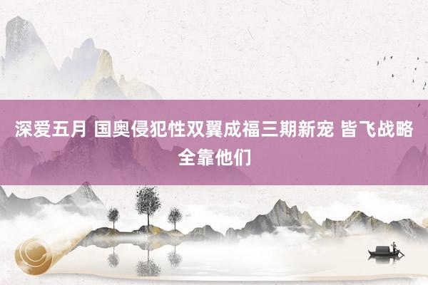 深爱五月 国奥侵犯性双翼成福三期新宠 皆飞战略全靠他们