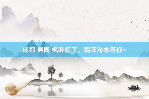 成都 男同 枫叶红了，我在沁水等你~