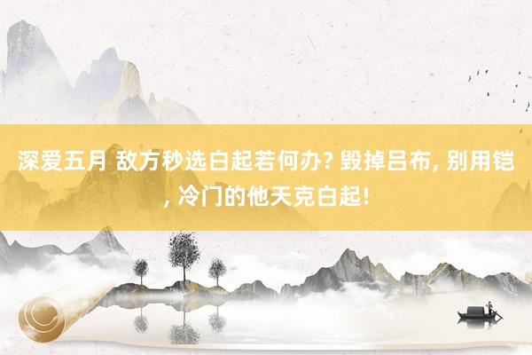 深爱五月 敌方秒选白起若何办? 毁掉吕布， 别用铠， 冷门的他天克白起!