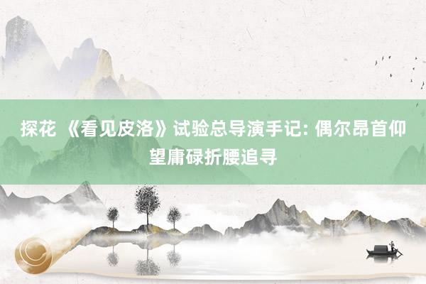 探花 《看见皮洛》试验总导演手记: 偶尔昂首仰望庸碌折腰追寻